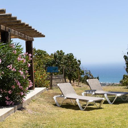 La Casa Del Burro Acomodação com café da manhã Nerja Exterior foto
