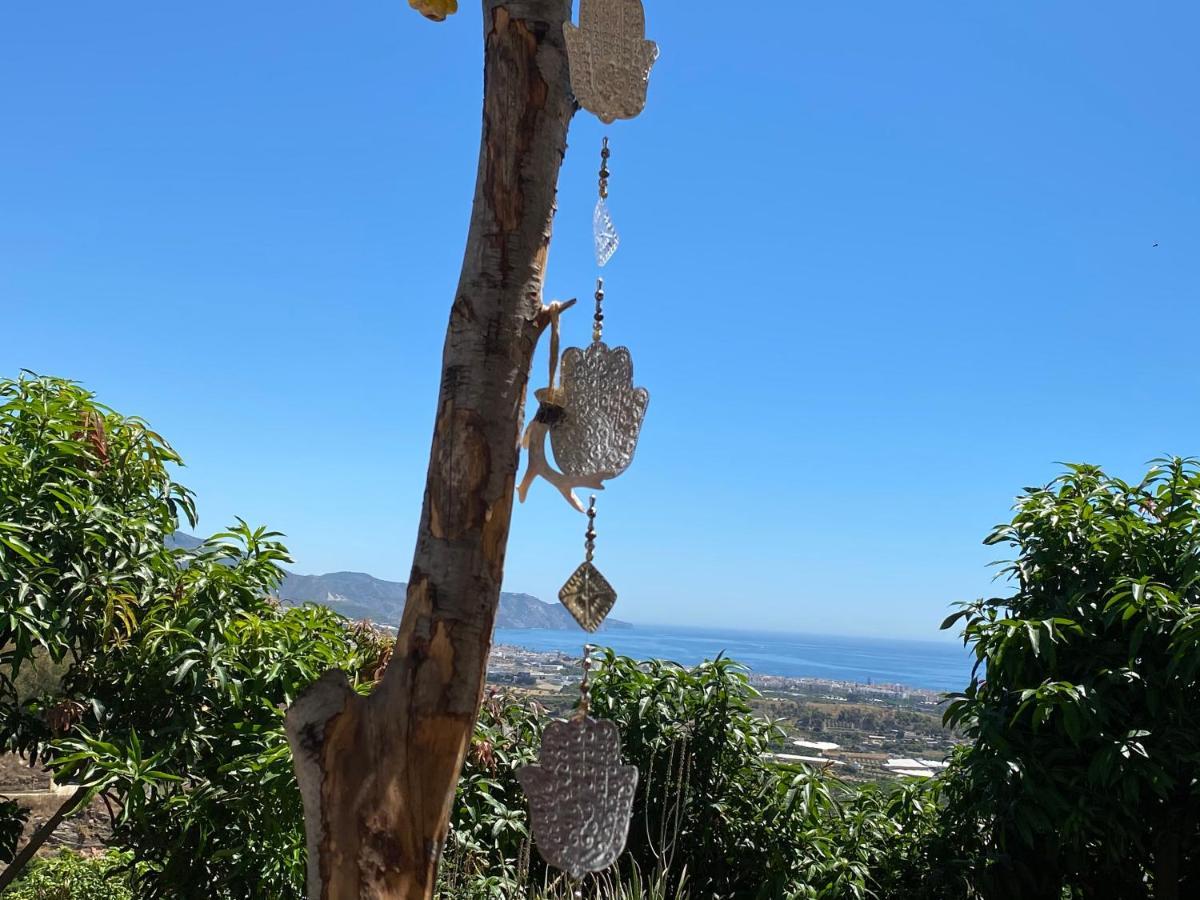 La Casa Del Burro Acomodação com café da manhã Nerja Exterior foto