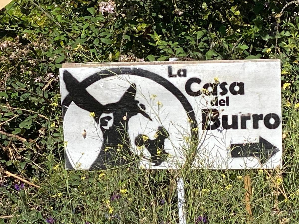 La Casa Del Burro Acomodação com café da manhã Nerja Exterior foto