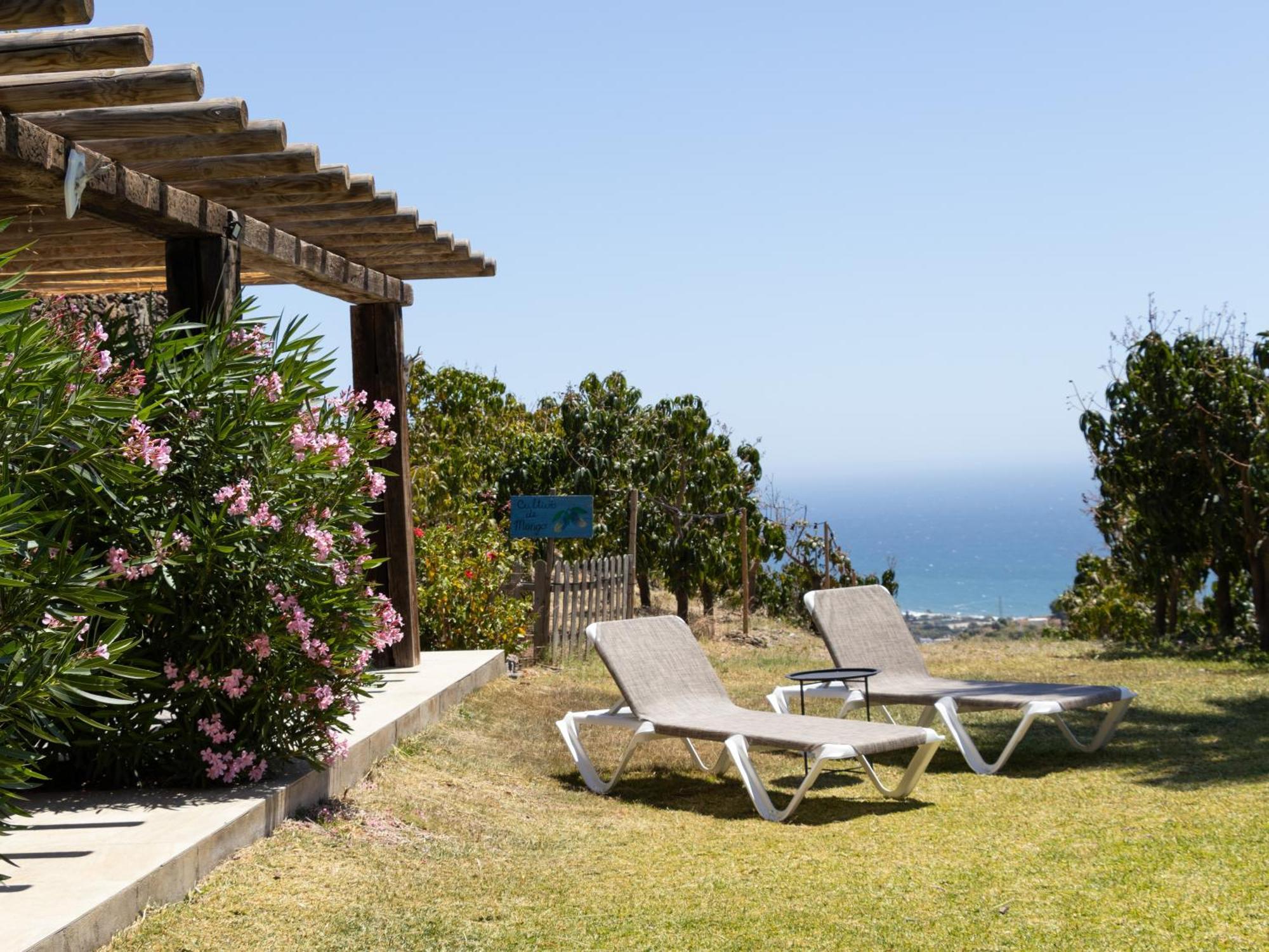 La Casa Del Burro Acomodação com café da manhã Nerja Exterior foto