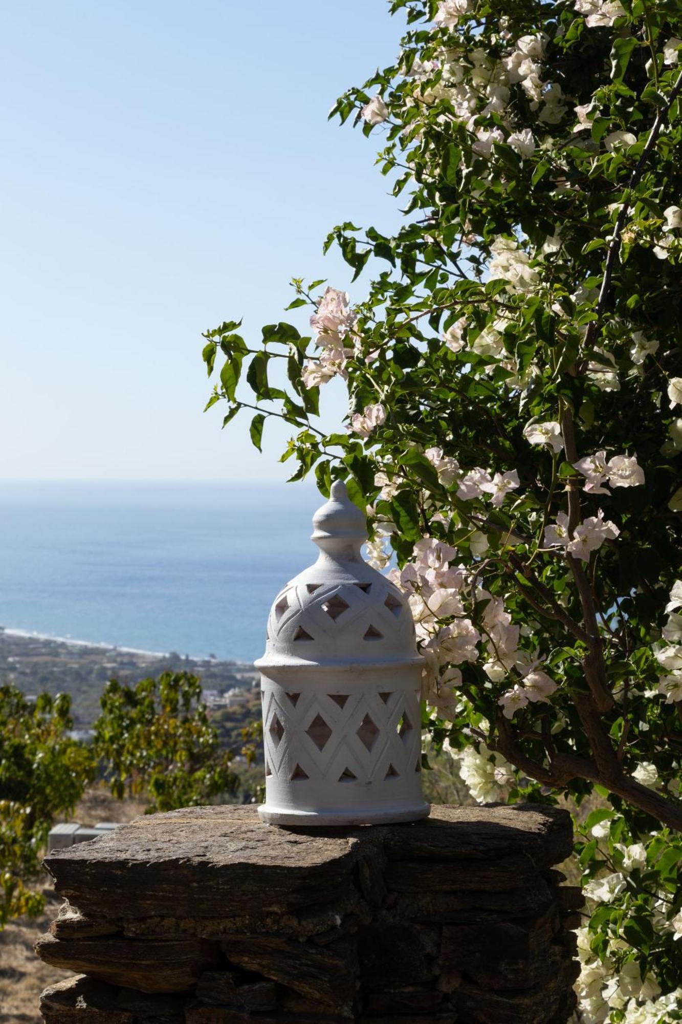 La Casa Del Burro Acomodação com café da manhã Nerja Exterior foto