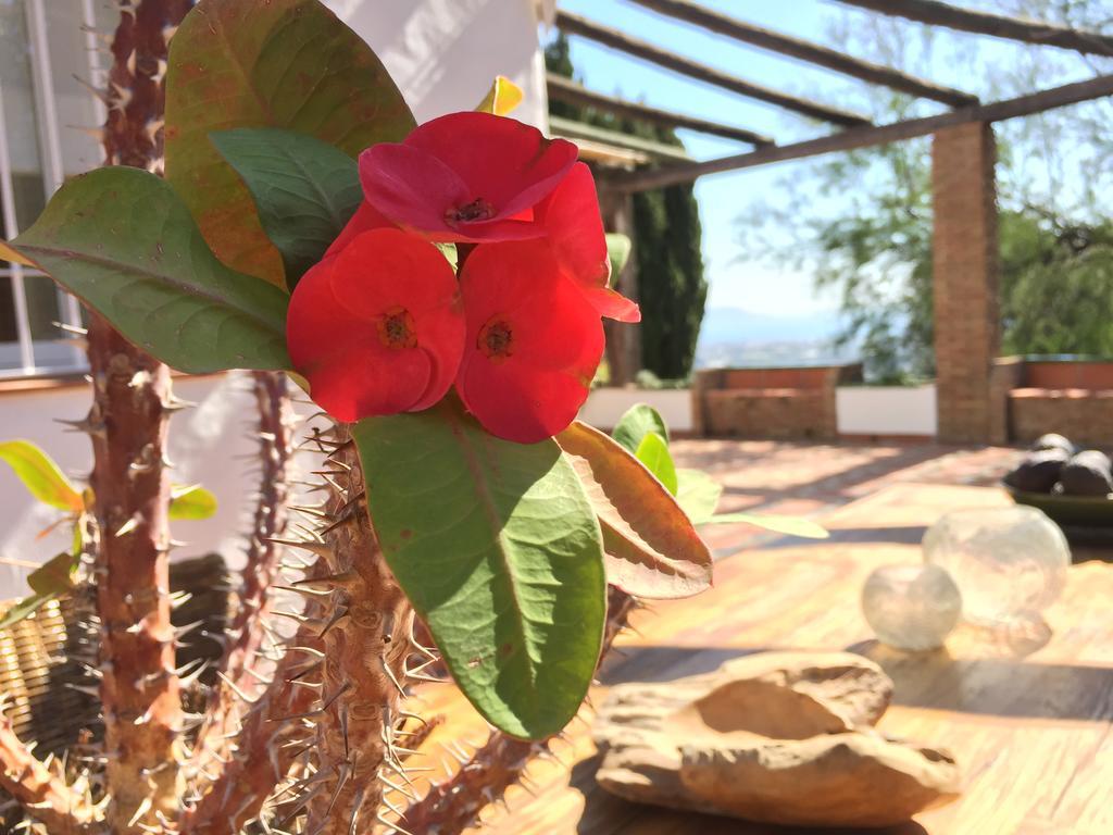La Casa Del Burro Acomodação com café da manhã Nerja Exterior foto